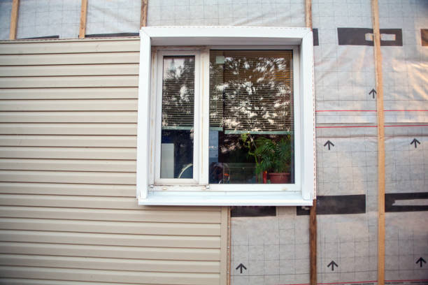 Best Insulated Siding Installation  in Wasilla, AK