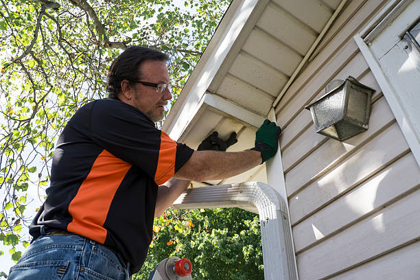 Best Stucco Siding  in Wasilla, AK